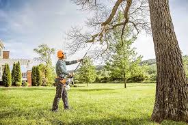 How Our Tree Care Process Works  in  Hobart, WI